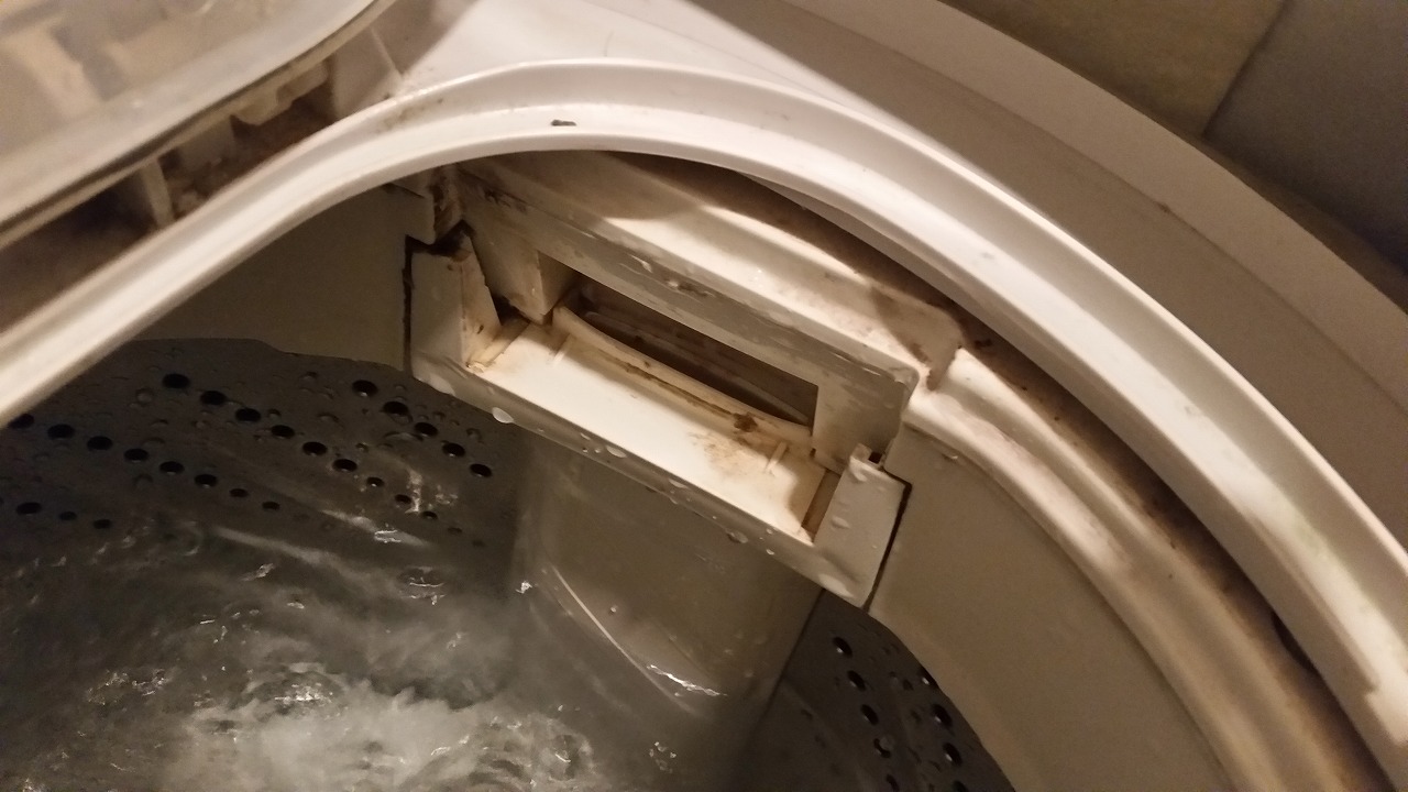 知らないと子供が危険 洗濯機から茶色いカスが出た時の掃除方法