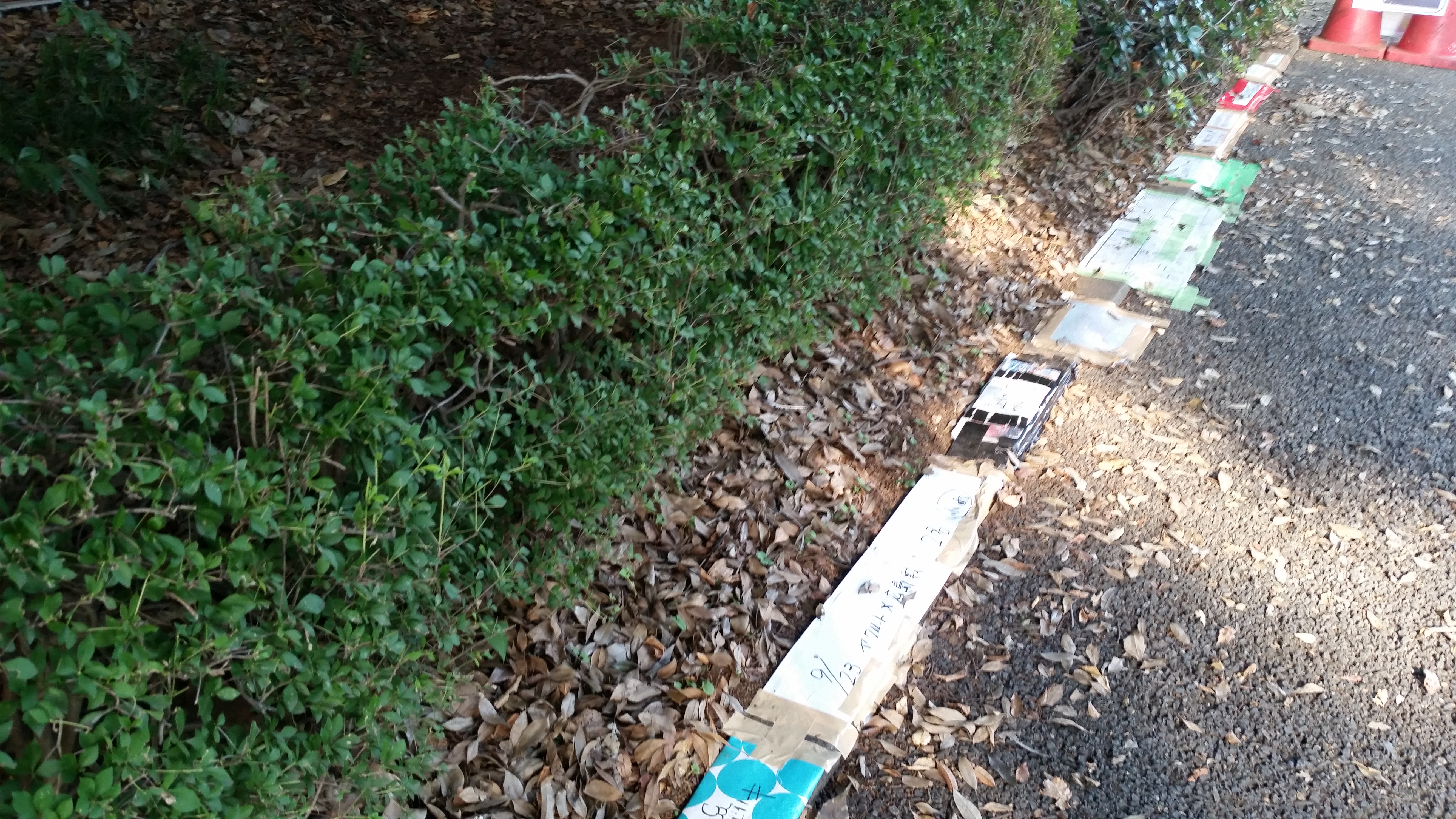 神宮球場でプロ野球選手にサインが貰える場所と方法