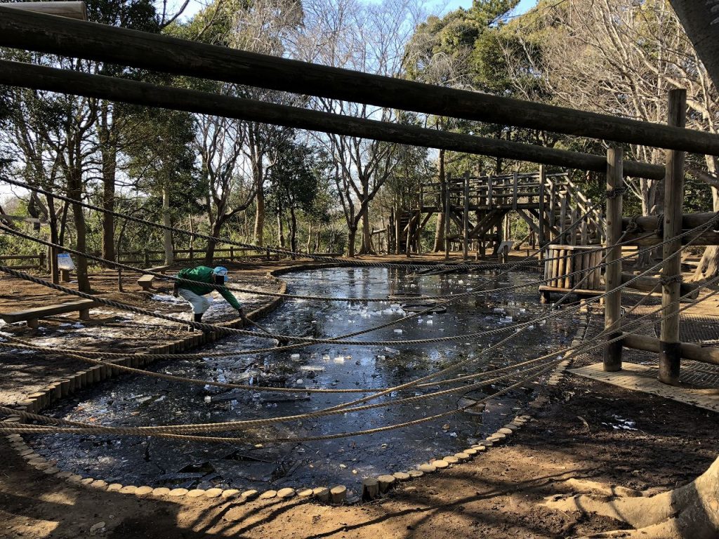 アンデルセン 公園 自転車